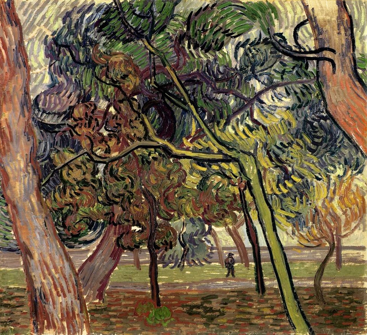 Pinheiros no jardim do asilo, 1889. de Vincent van Gogh