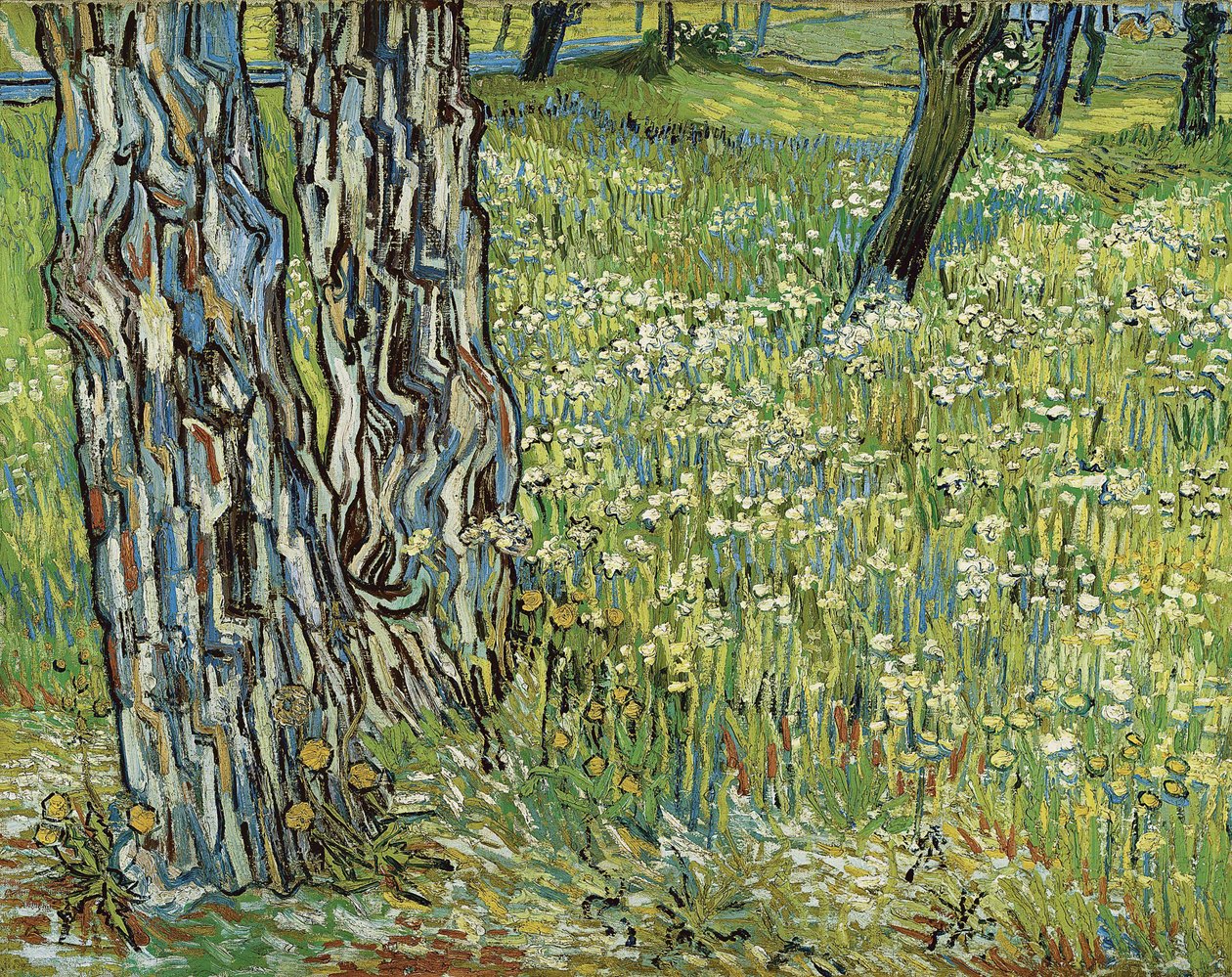 Troncos de árvores na grama, 1890. de Vincent van Gogh