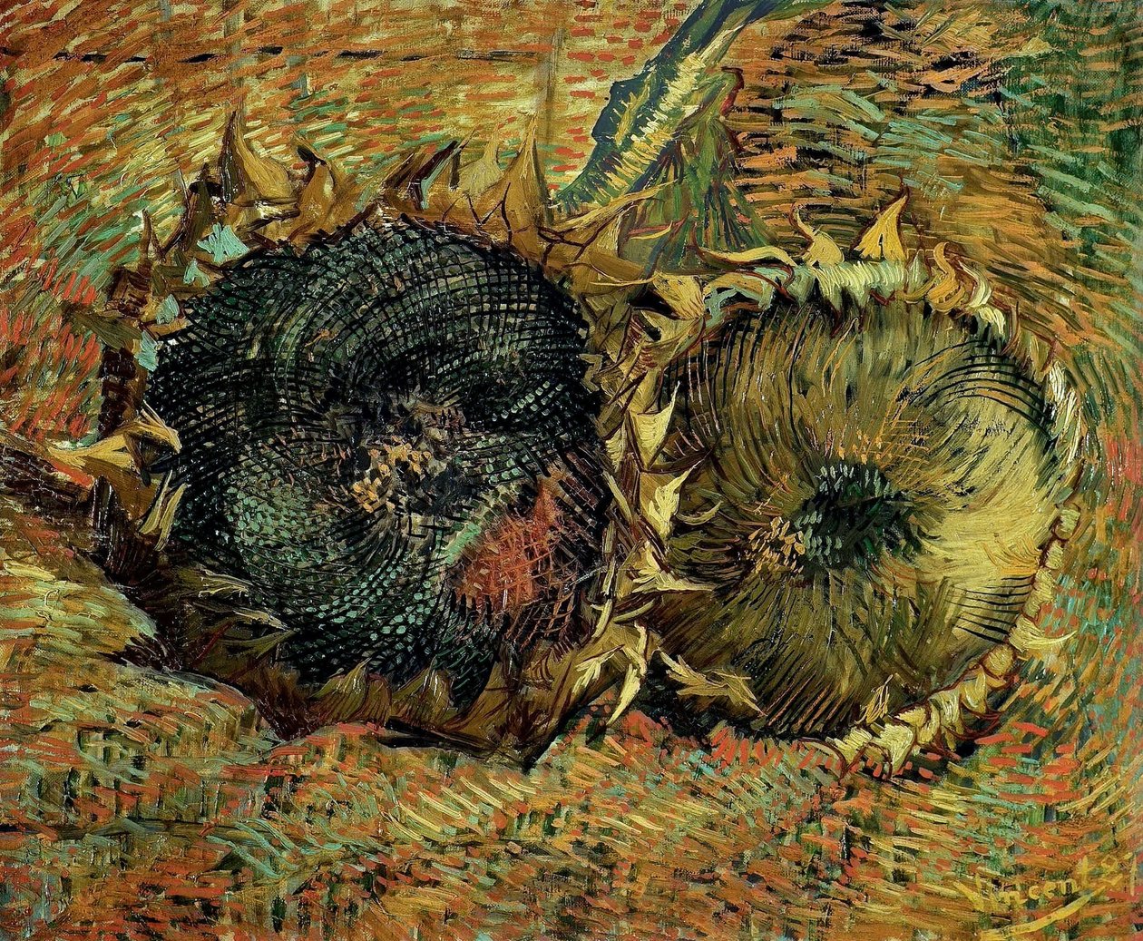 Dois girassóis cortados, 1887. de Vincent van Gogh