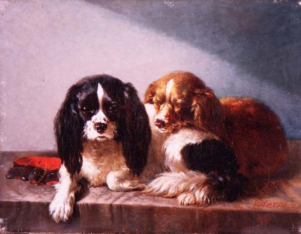 Um par de Cavalier King Charles Spaniels on a Ledge de Vincent de Vos
