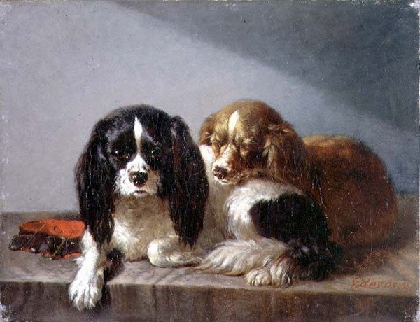 Rei Charles Spaniels de Vincent de Vos