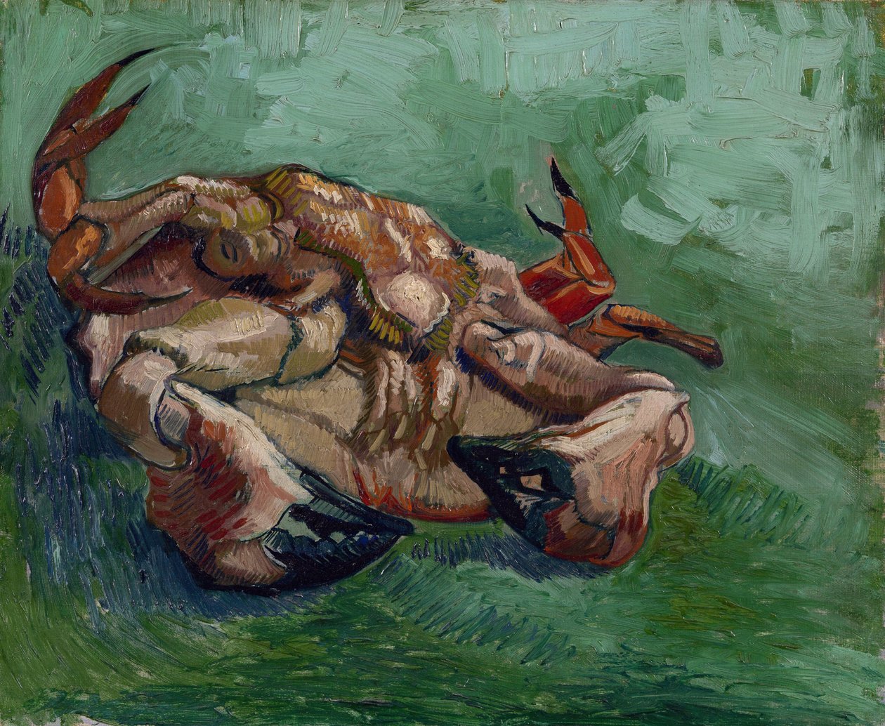 A Crab on its Back par Gogh, Vincent, van (1853-1890). Óleo sobre tela, tamanho : 38x46,8 de Vincent van Gogh