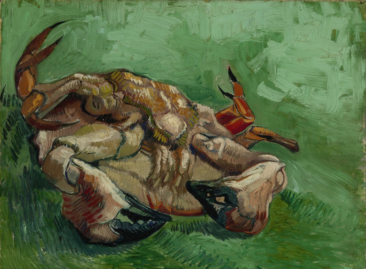 Um caranguejo de costas de Vincent van Gogh