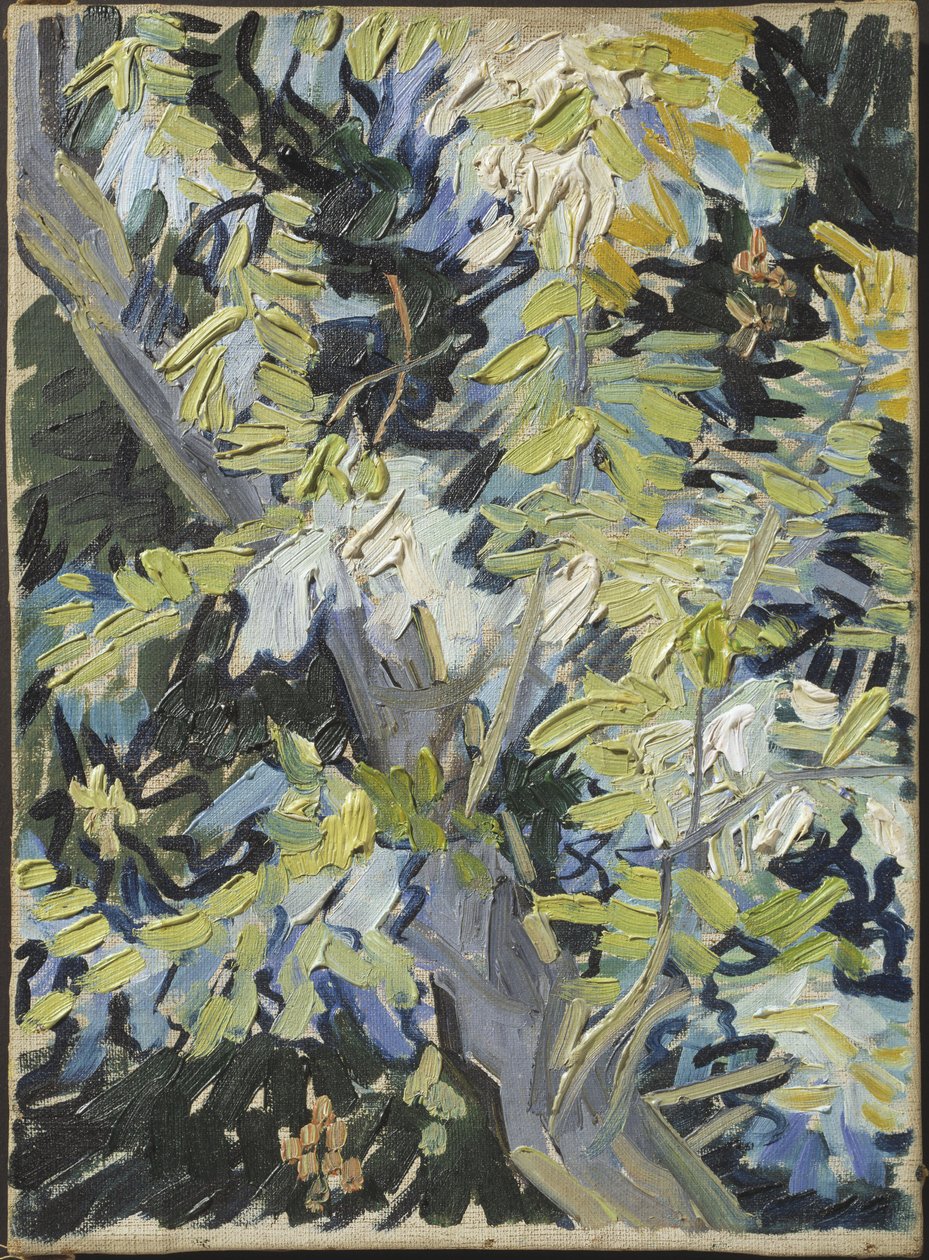 Acacia in flower - Acacia Flowering, de Gogh, Vincent, van (1853-1890). Óleo sobre tela. Tamanho: 33x24 cm. Nationalmuseum Estocolmo de Vincent van Gogh