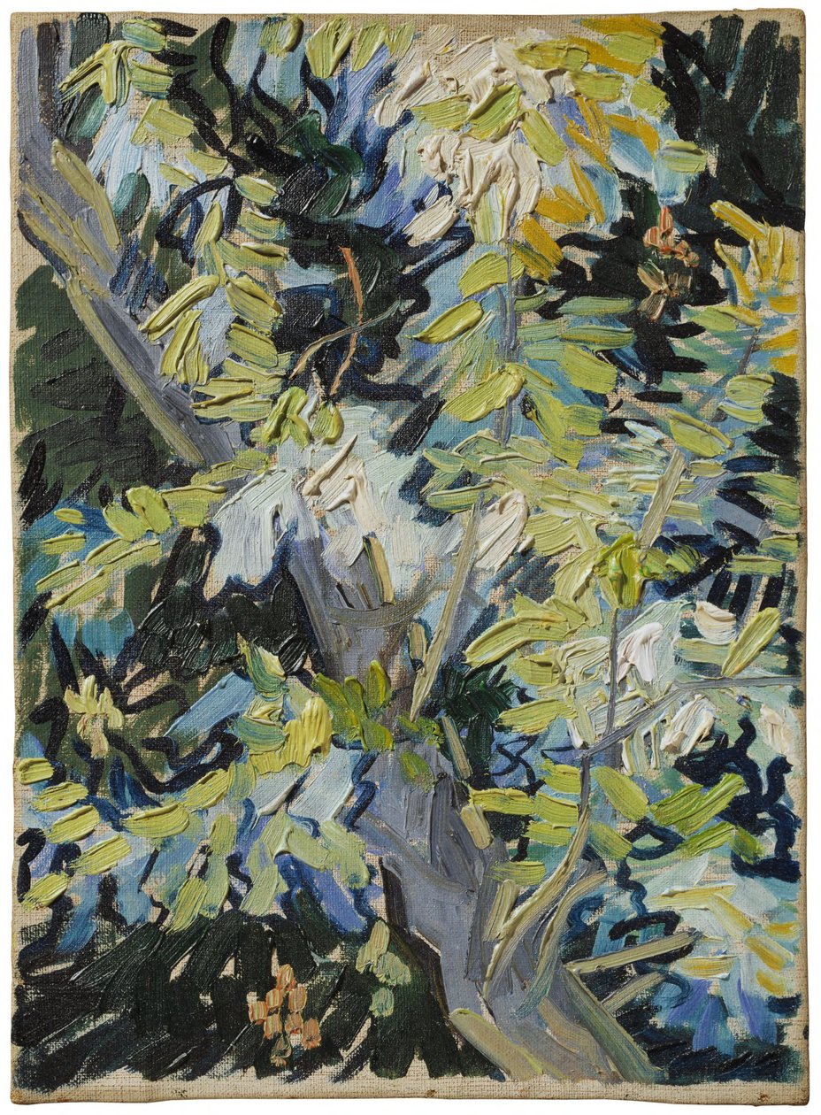 Acácia em flor de Vincent van Gogh