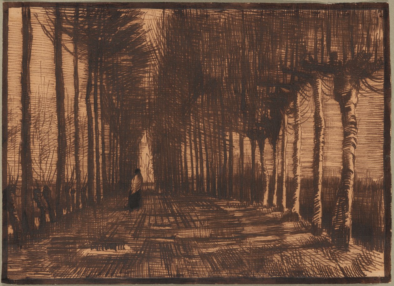 Avenida das Bétulas e Choupos de Pollard de Vincent van Gogh