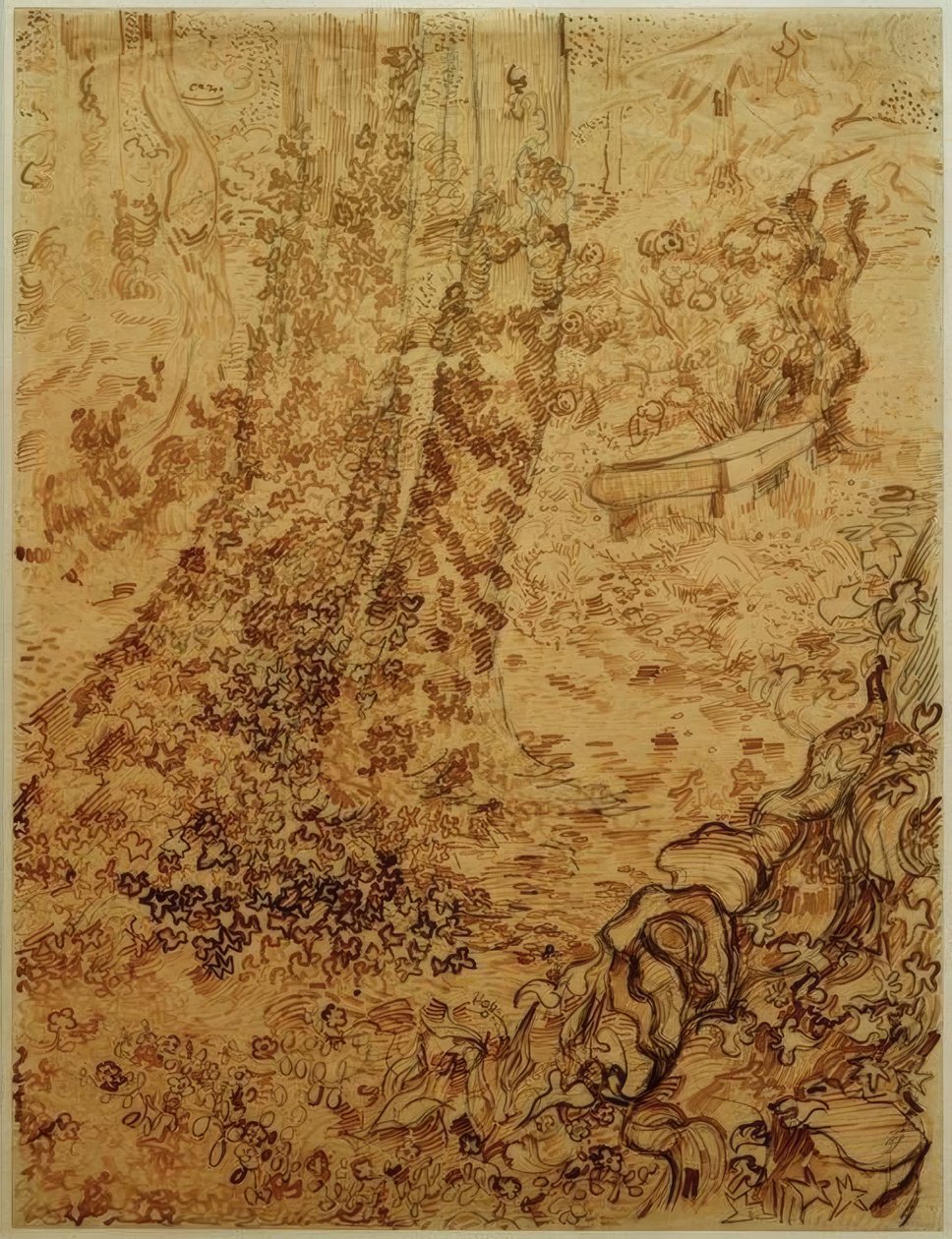 Árvores com hera no jardim do sanatório de Vincent van Gogh