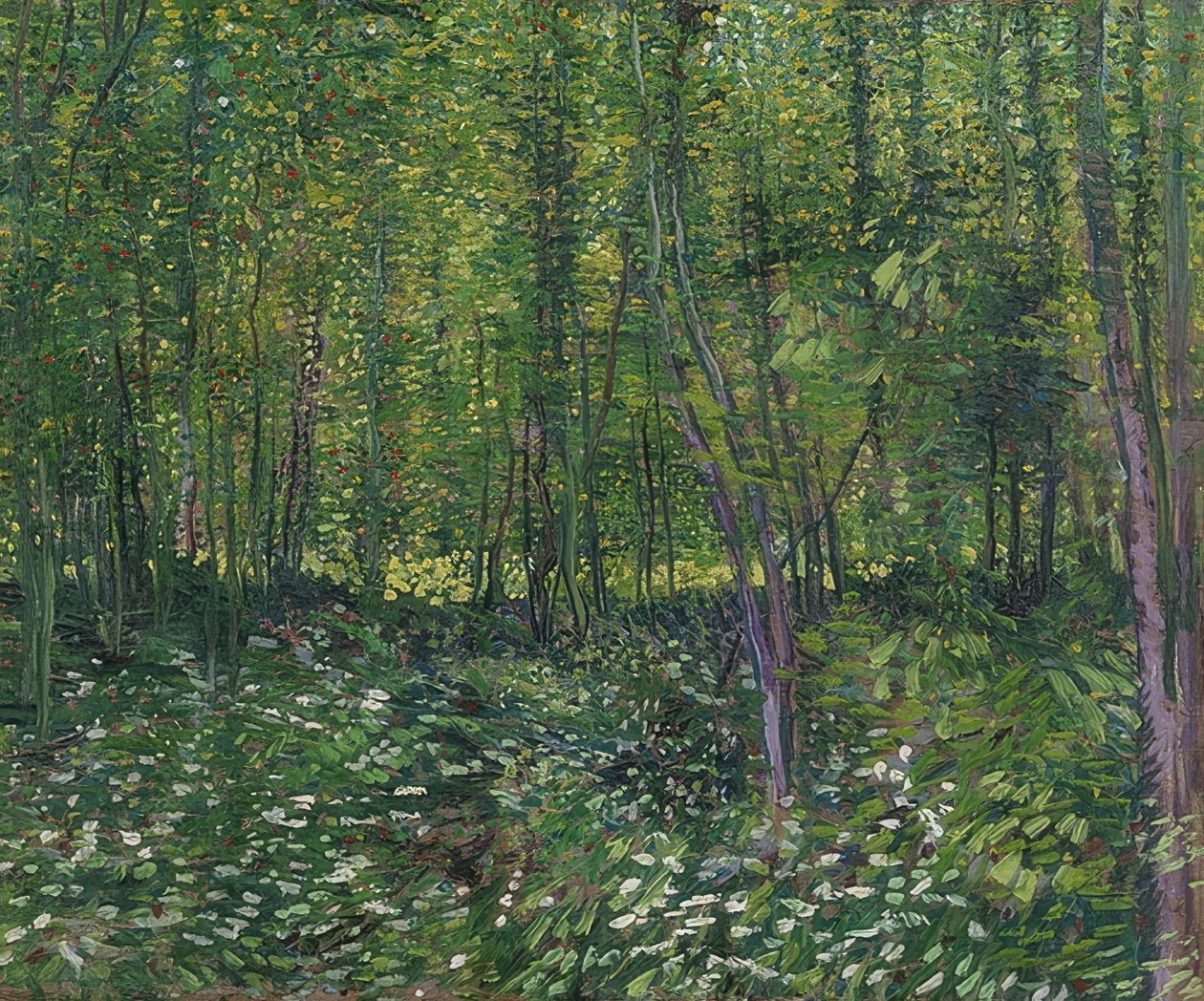Árvores e vegetação rasteira. 1887 de Vincent van Gogh
