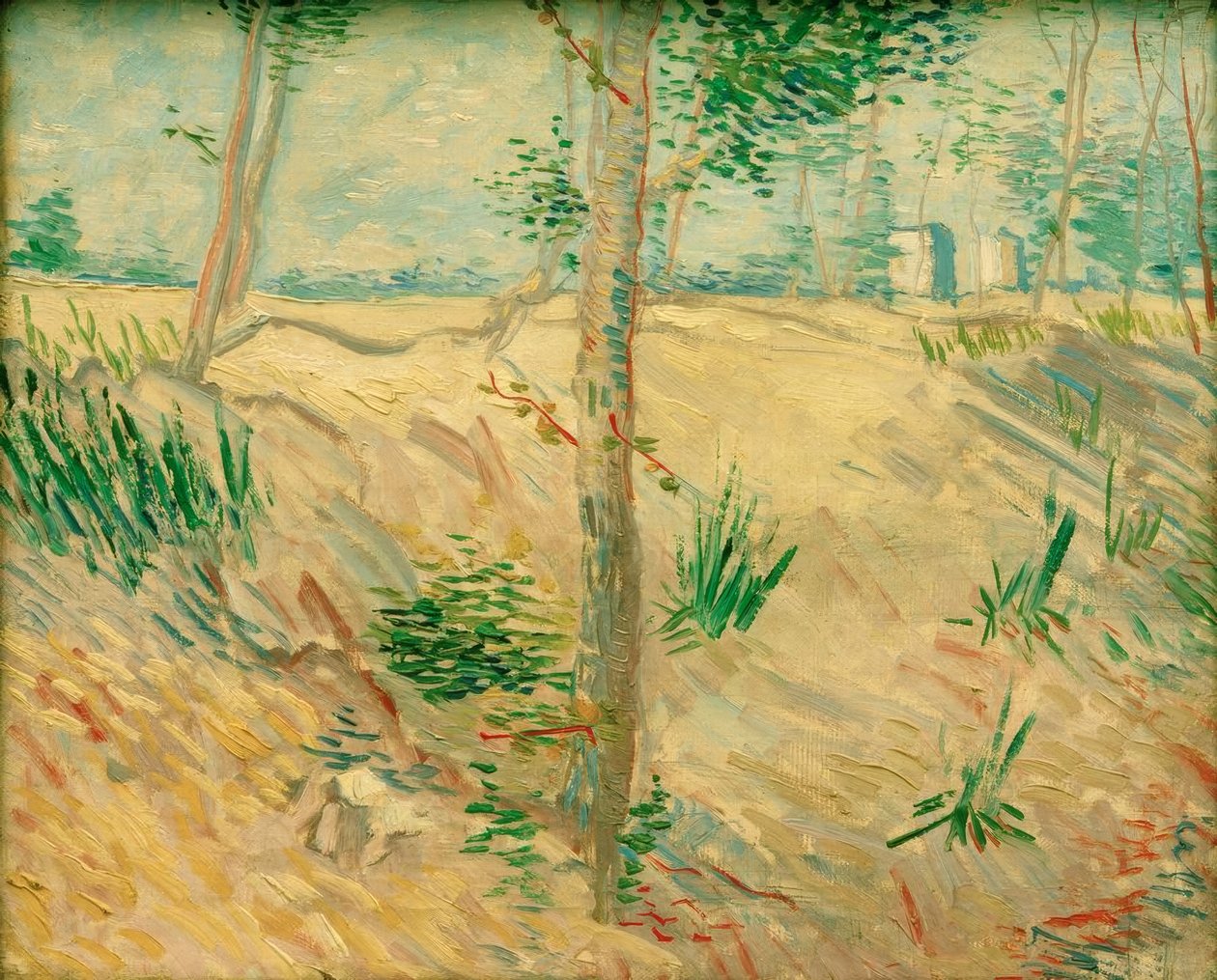 Troncos de árvores à luz do sol de Vincent van Gogh