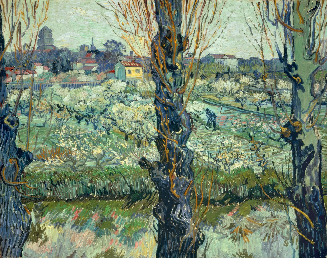 Vista de Arles de Vincent van Gogh