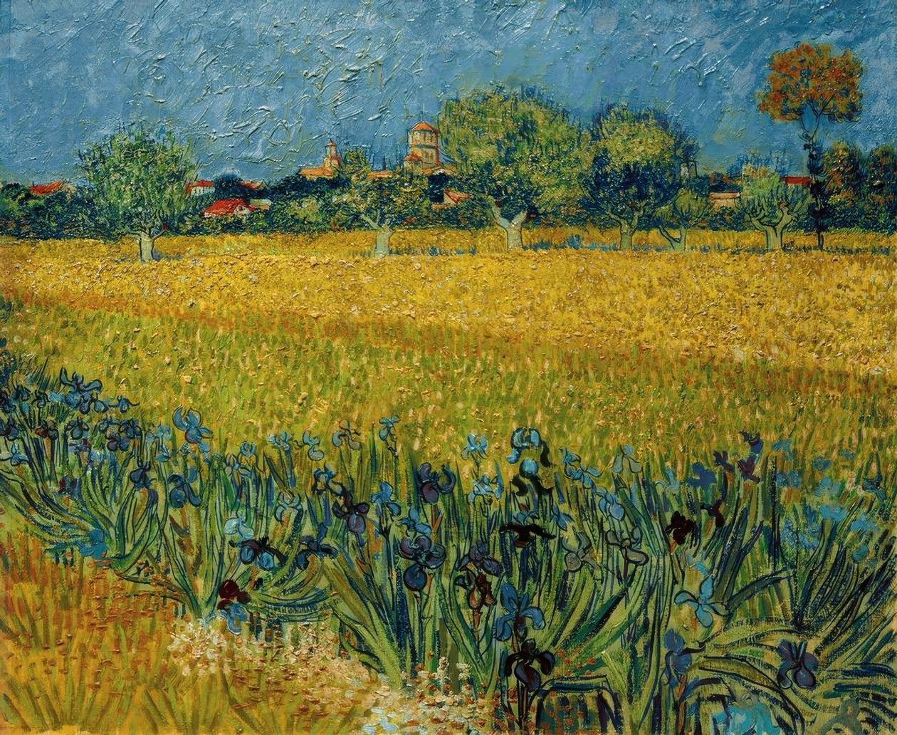 Vista de Arles com flores de íris em primeiro plano de Vincent van Gogh