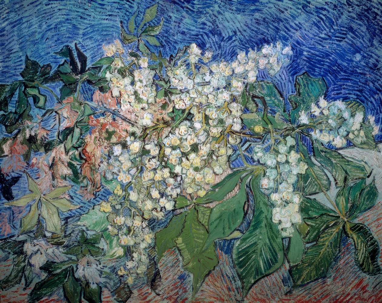 Ramos de flores de castanheiro de Vincent van Gogh