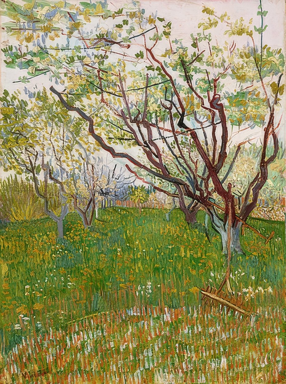 Pomar em flor. 1888 de Vincent van Gogh