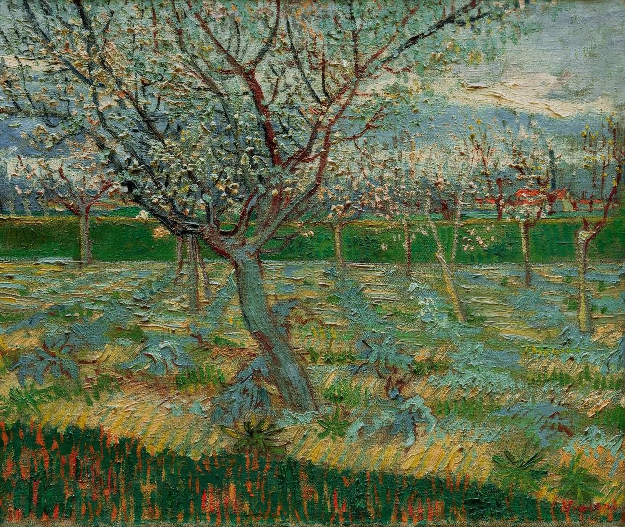 Pomar em flor com árvores de Damasco de Vincent van Gogh