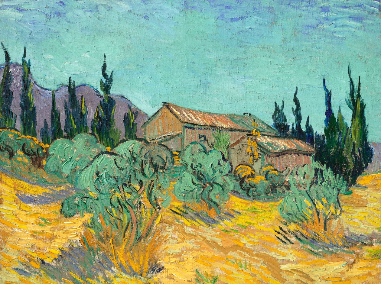 Cabanas de madeira entre oliveiras e ciprestes de Vincent van Gogh