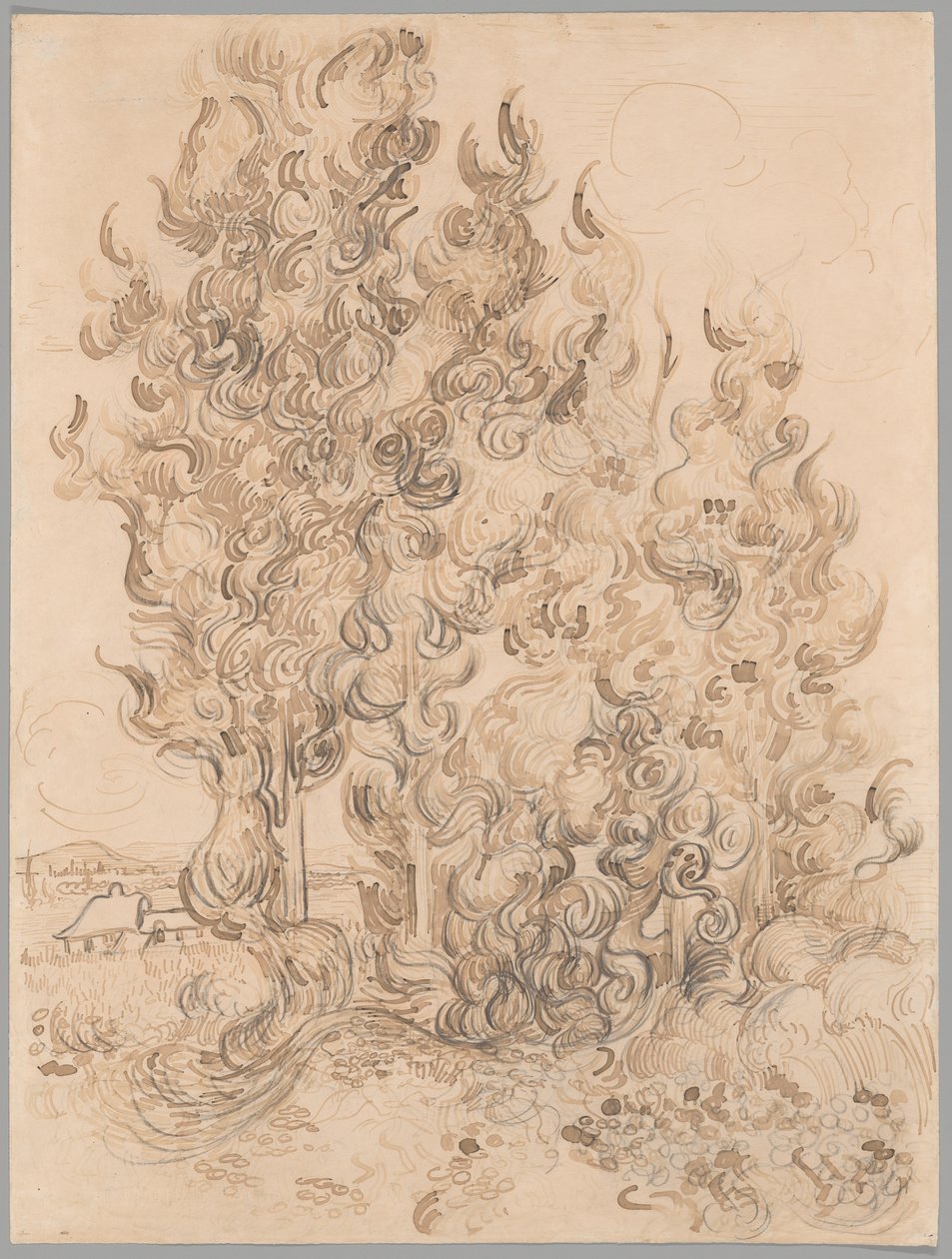 Ciprestes de Vincent van Gogh