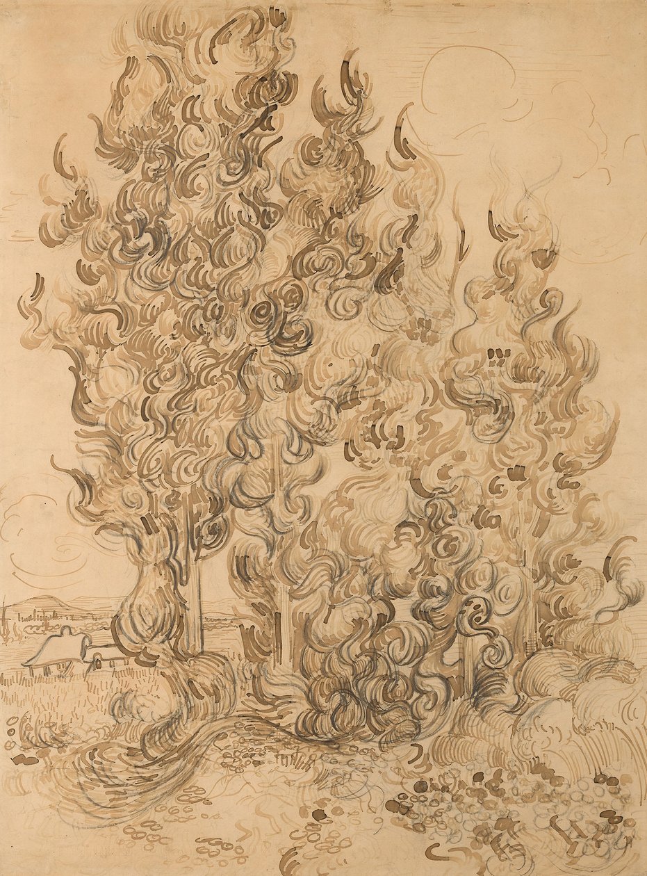 Ciprestes de Vincent van Gogh