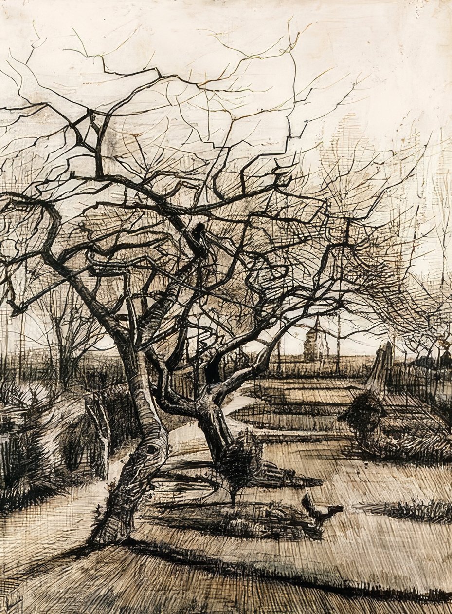 O jardim da reitoria em Nuenen. 1884 de Vincent van Gogh