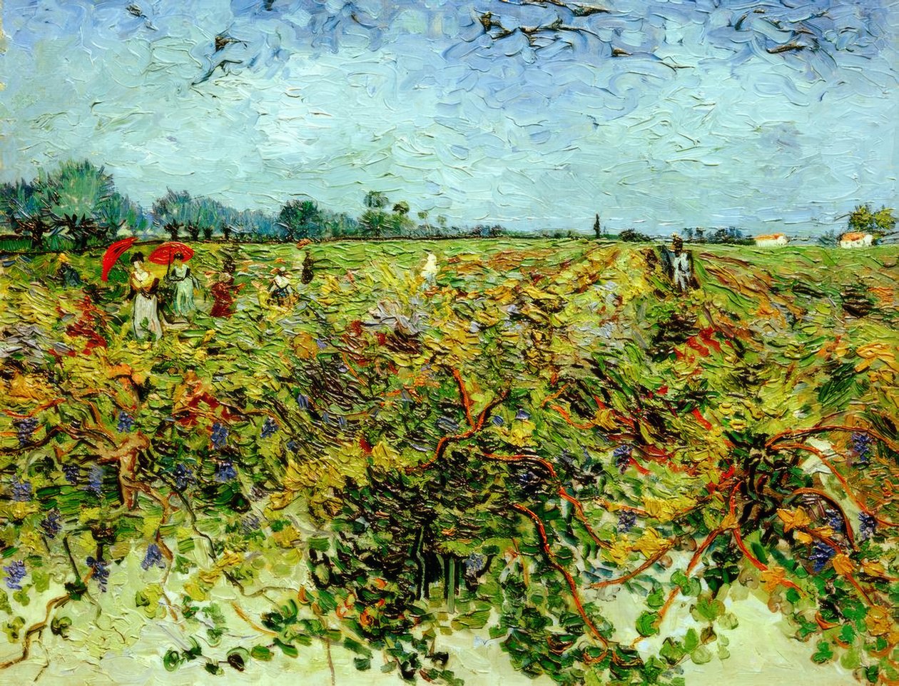 A vinha verde de Vincent van Gogh