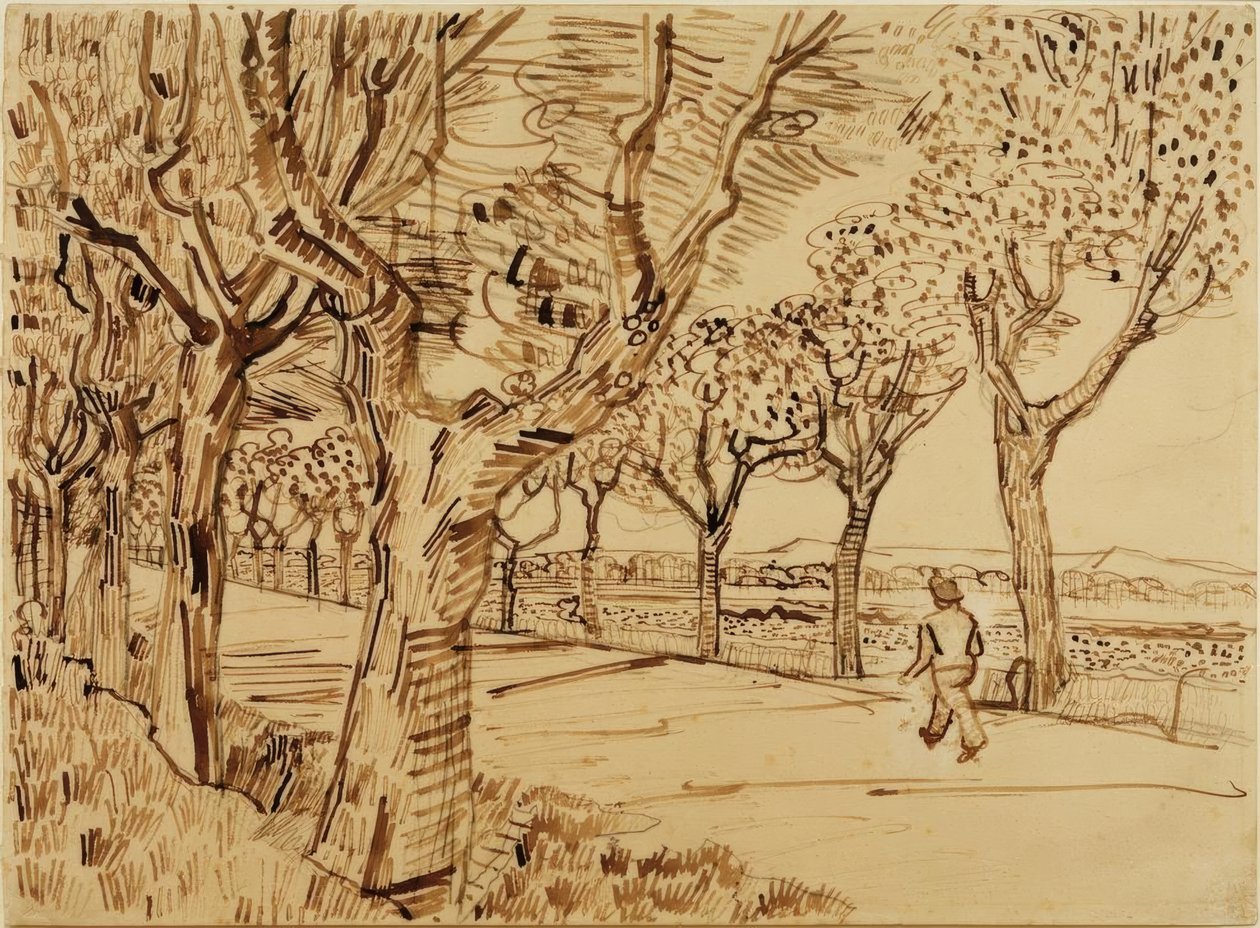 O caminho para Tarascon de Vincent van Gogh
