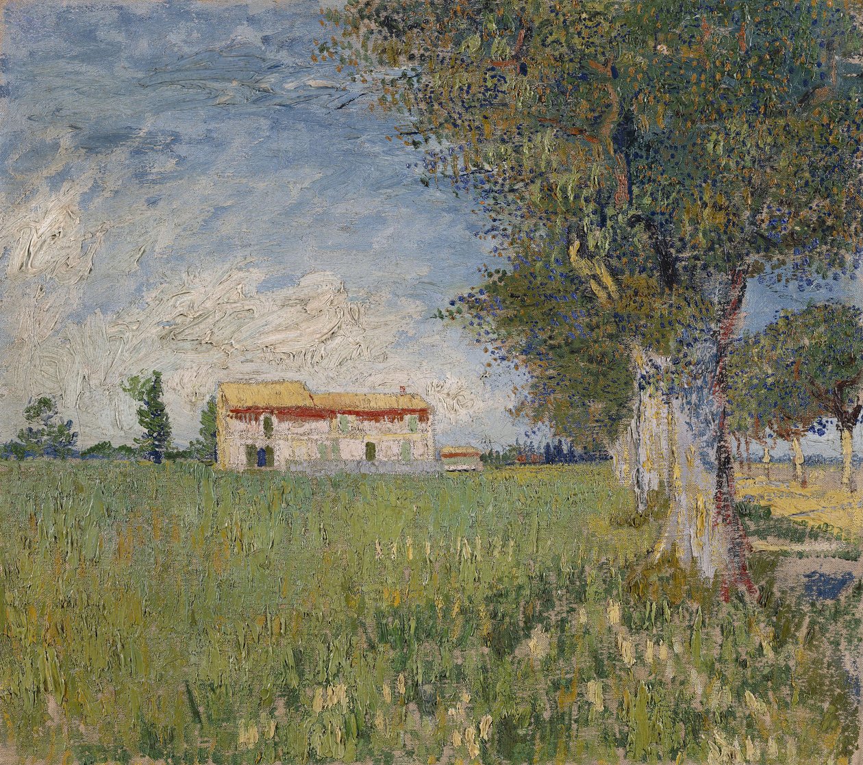 Quinta em um campo de trigo, 1888 de Vincent van Gogh