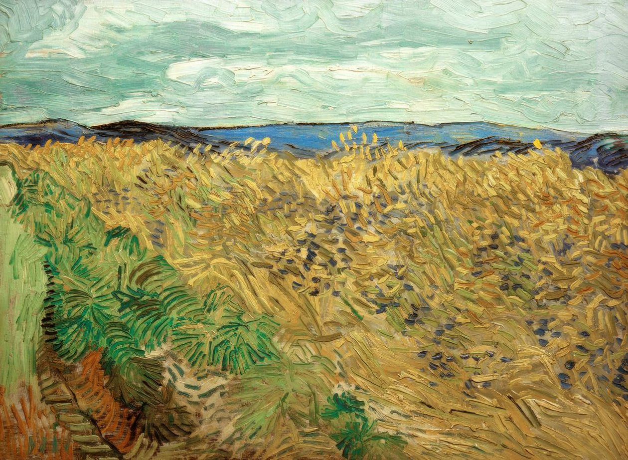 Campo, com flores de Vincent van Gogh