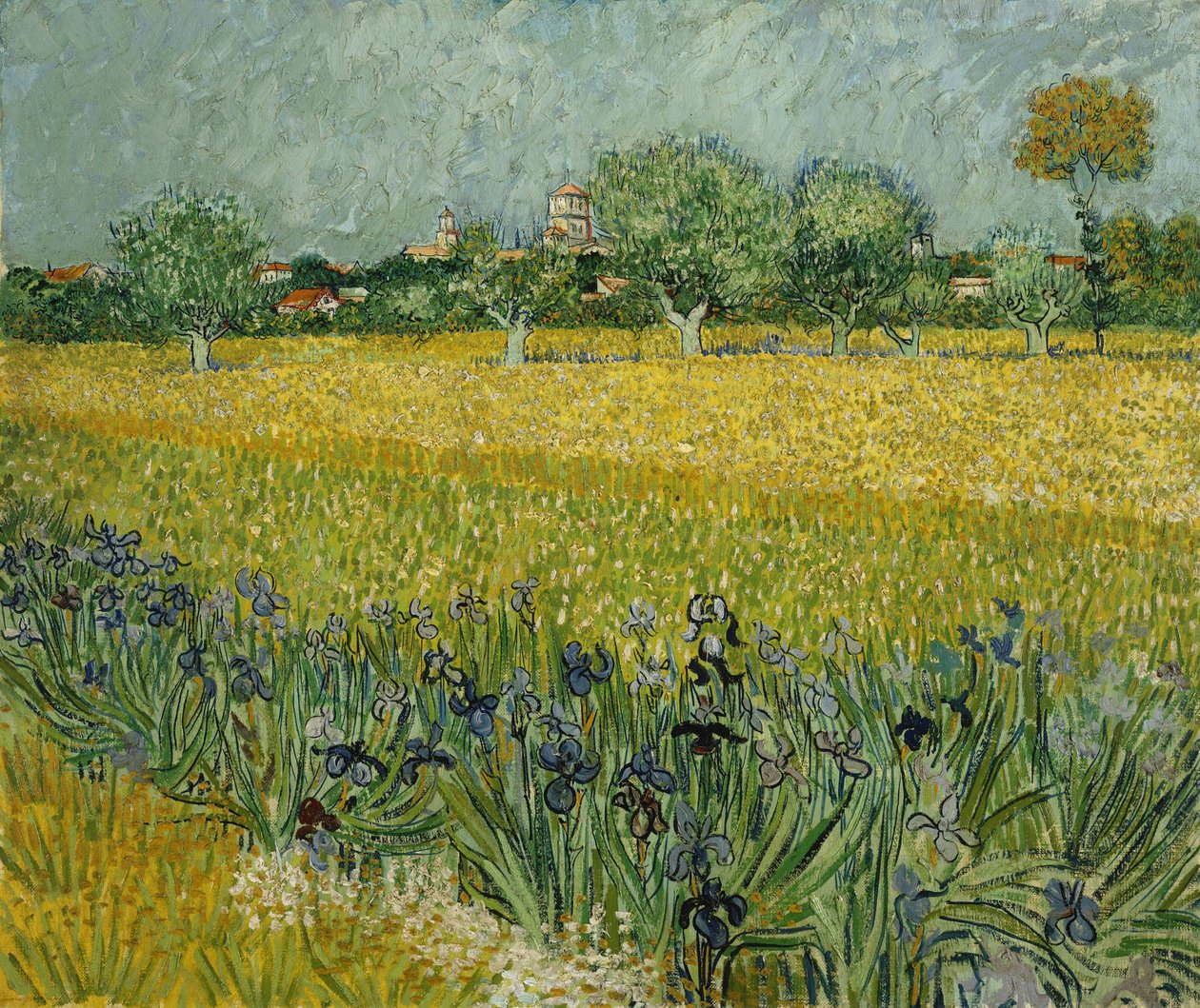 Campo com flores perto de Arles de Vincent van Gogh