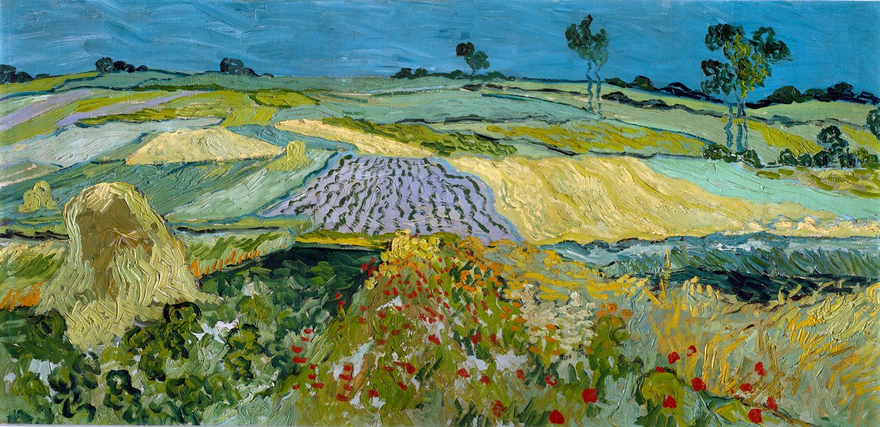  de Vincent van Gogh