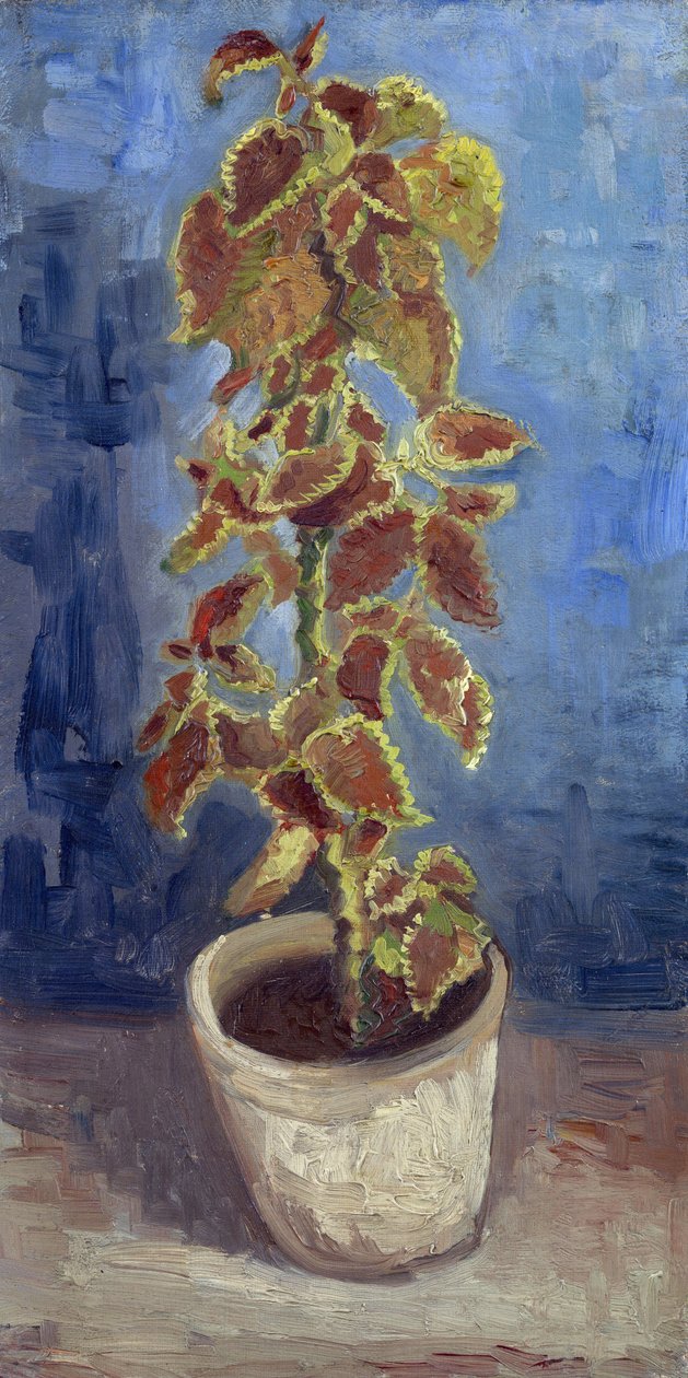 Chama Urtiga em um vaso de flores par Gogh, Vincent, van (1853-1890). Óleo sobre tela, tamanho : 42,1x21,9 de Vincent van Gogh