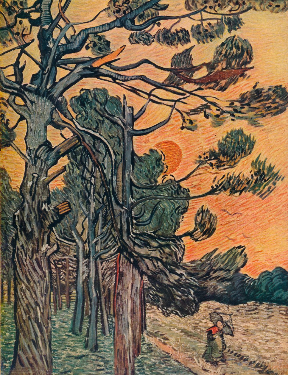 Floresta de abeto no declínio do dia, 1889 de Vincent van Gogh