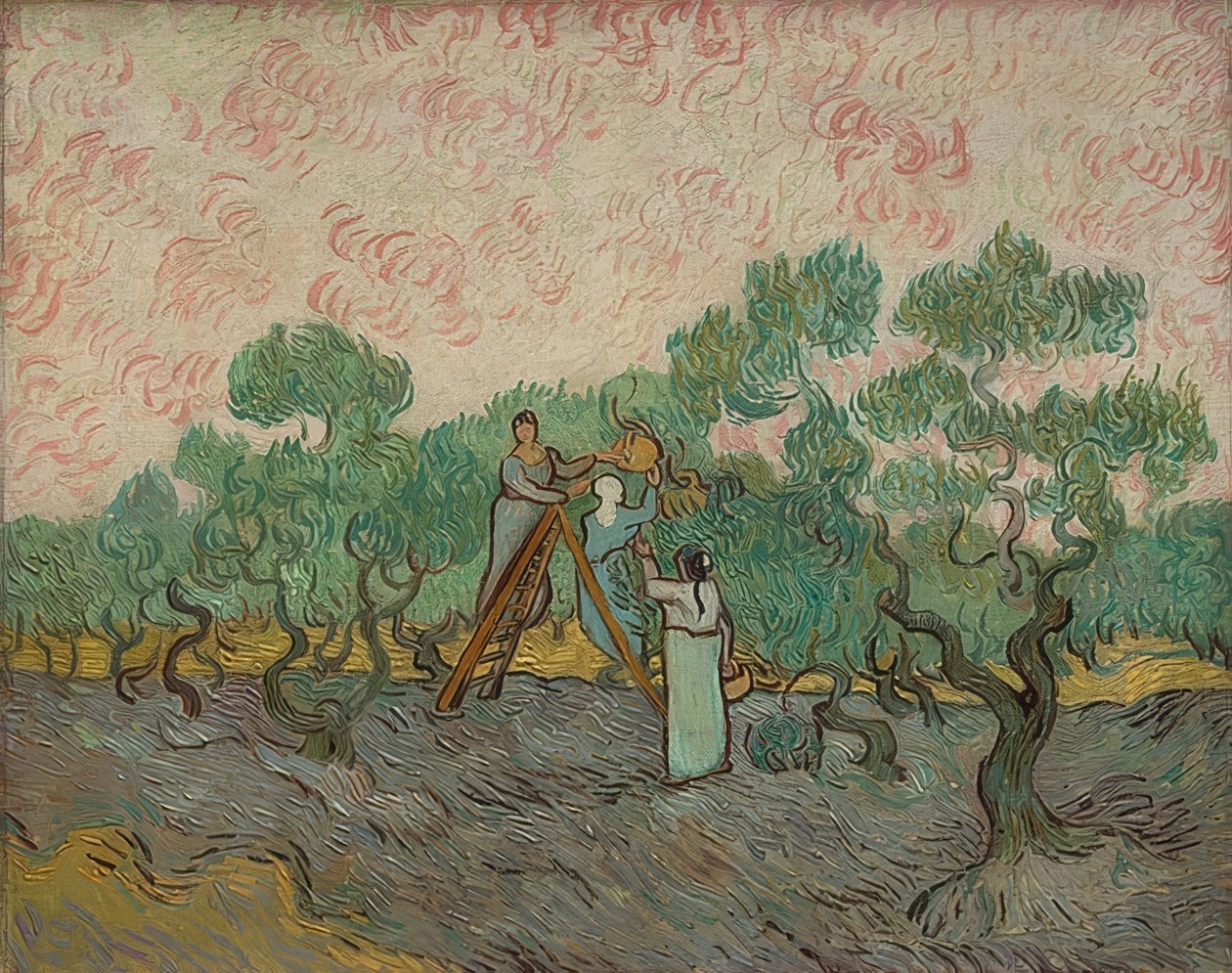 Mulheres colhendo azeitonas. 1889 de Vincent van Gogh