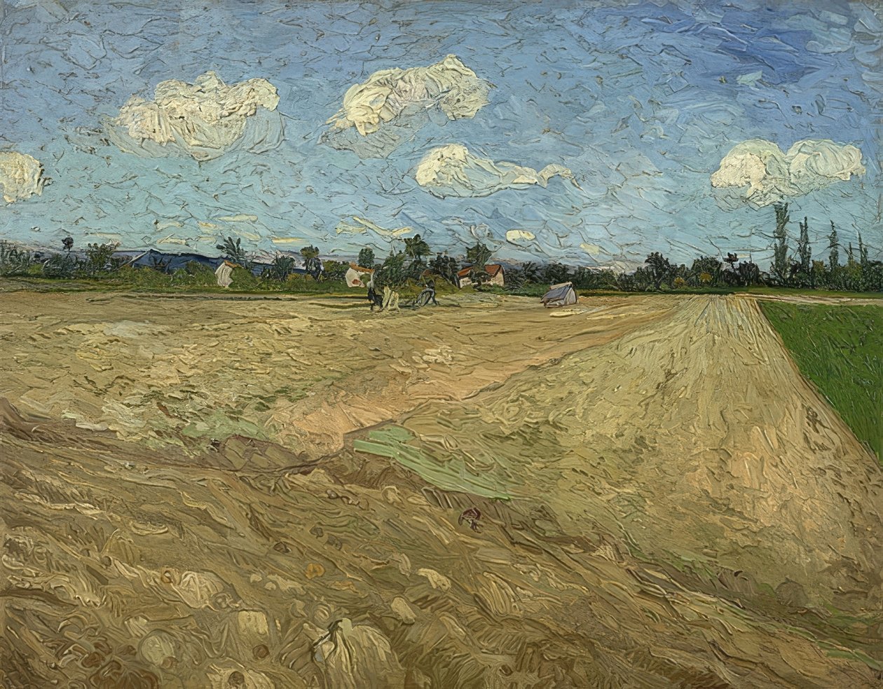 Campo arado (sulcos). 1888 de Vincent van Gogh