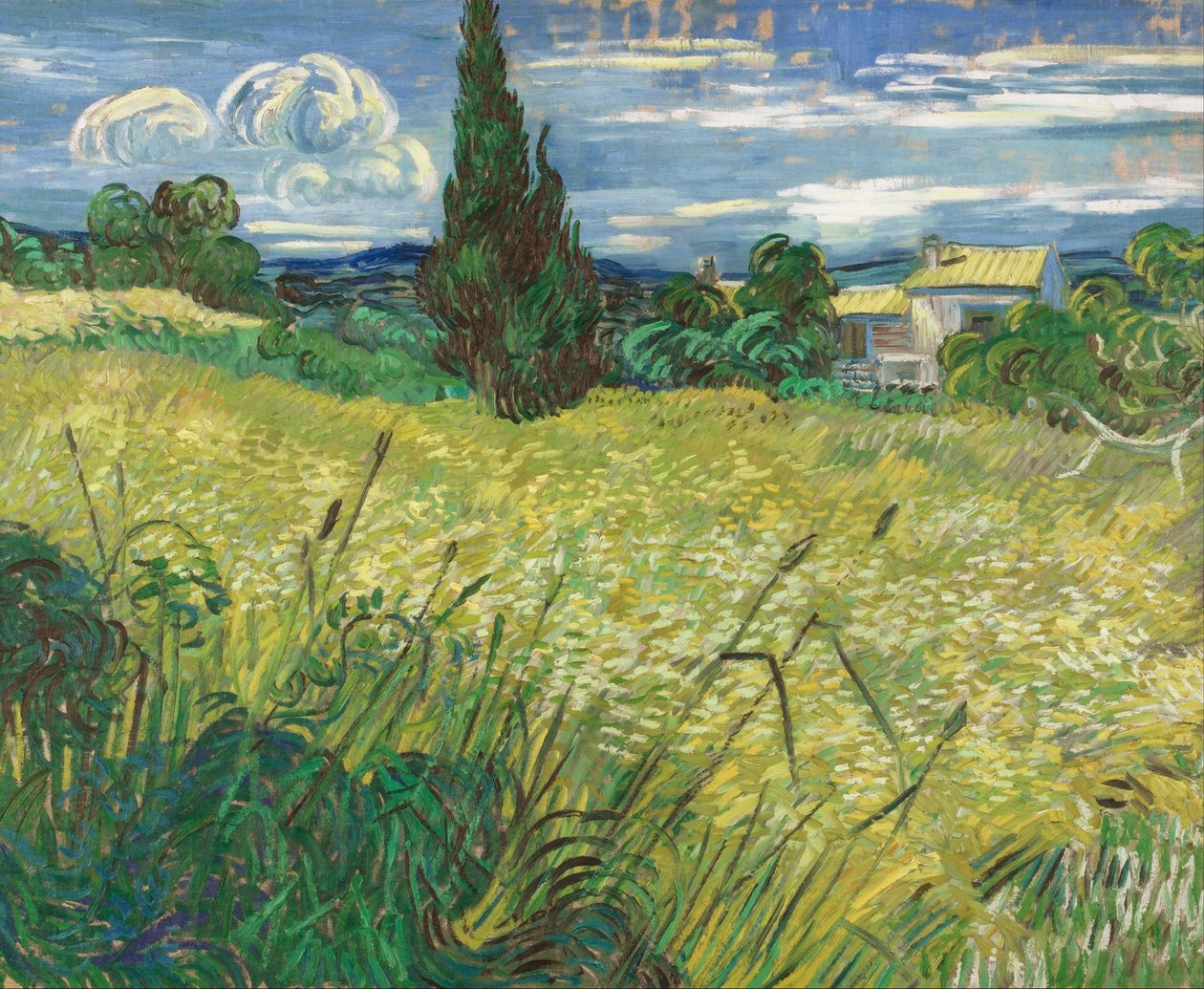 Campo de trigo verde com cipreste de Vincent van Gogh