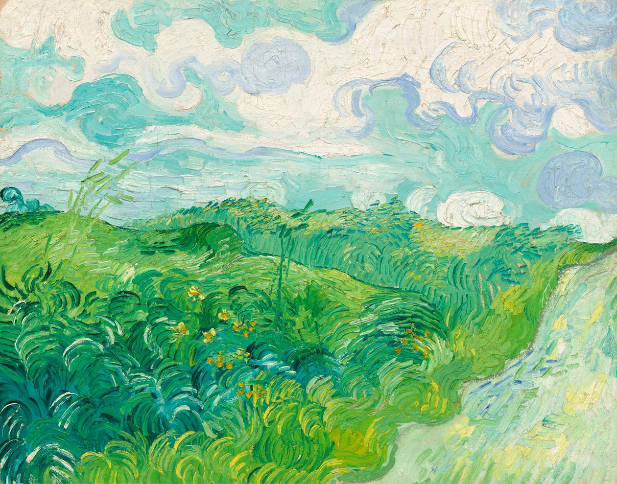 Campos de trigo verde, Auvers de Vincent van Gogh