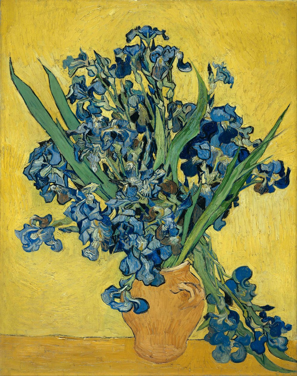 Íris de Vincent van Gogh