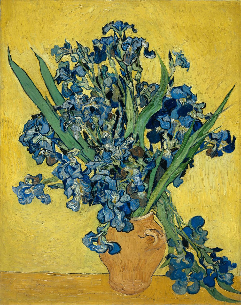 Íris de Vincent van Gogh