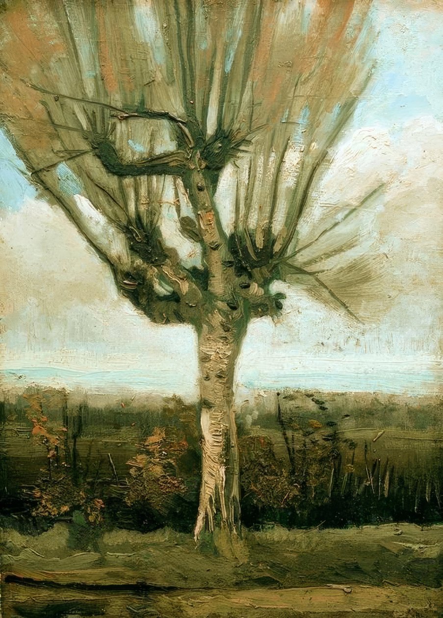 Kopfweide de Vincent van Gogh