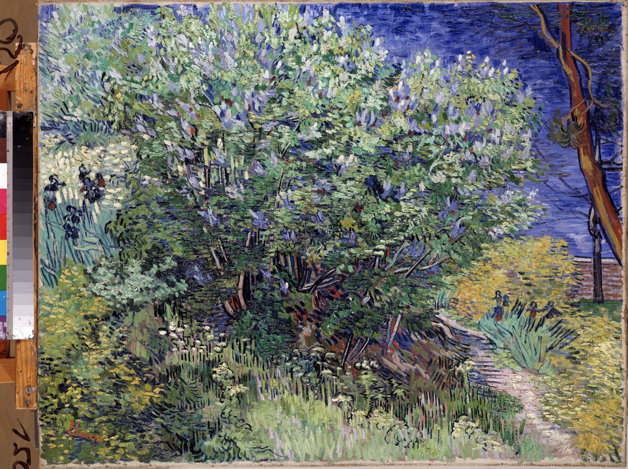 Pintura "Lilac Bush" de Vincent van Gogh (1853-1890) 1889 Dim. 72x92 cm Museu Hermitage, São Petersburgo (São Petersburgo) de Vincent van Gogh
