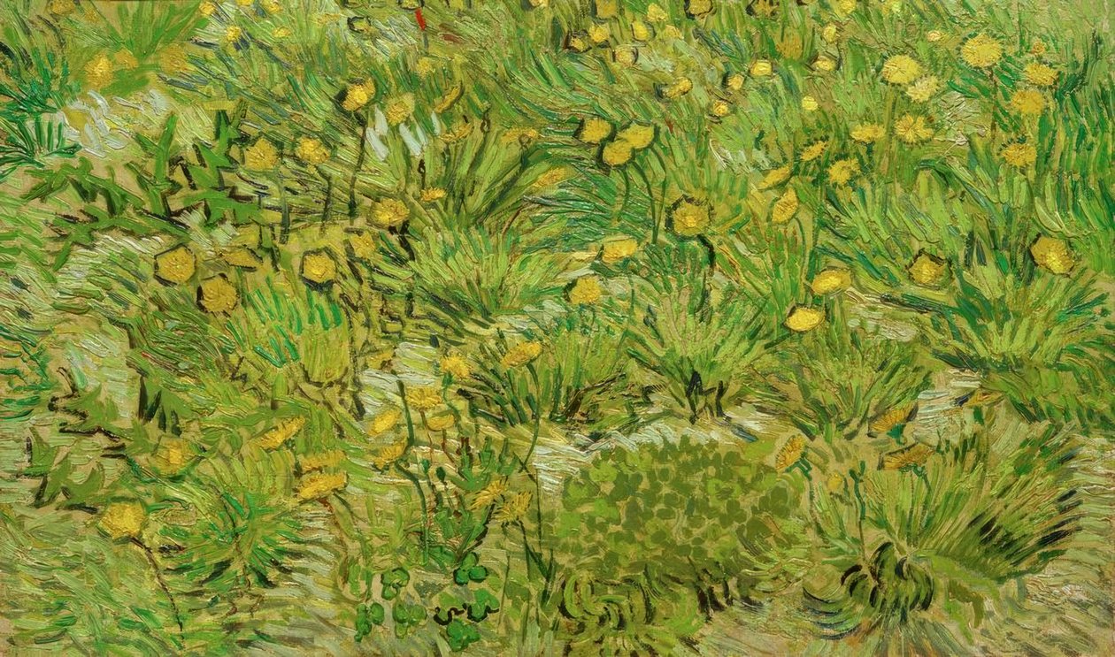 Dentes-de-leão de Vincent van Gogh