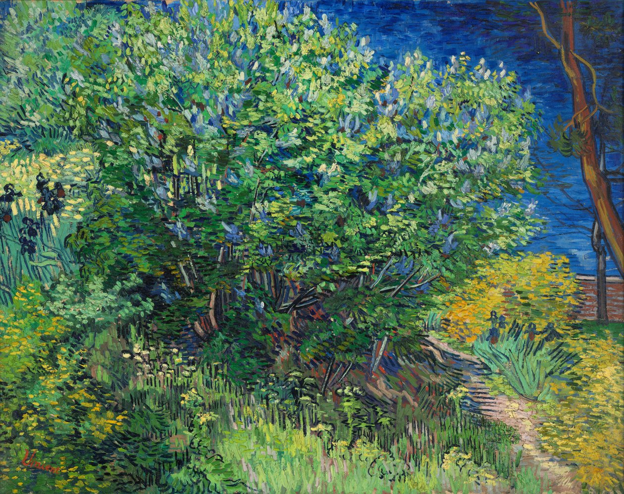 Lilases de Vincent van Gogh