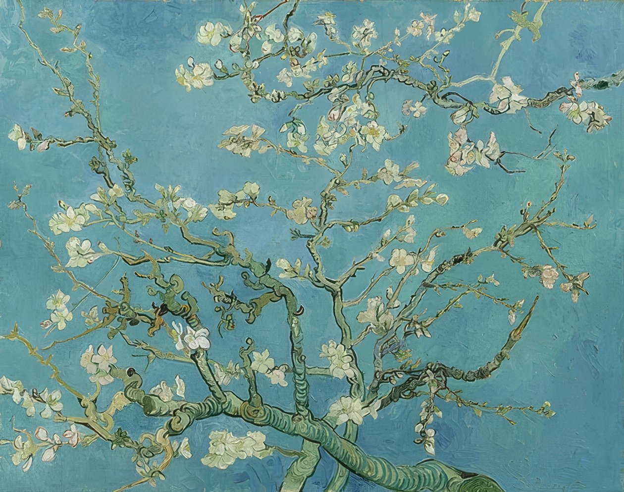 Mandelblute. 1890 de Vincent van Gogh