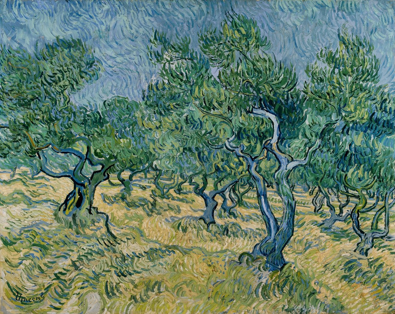 Olival de Vincent van Gogh