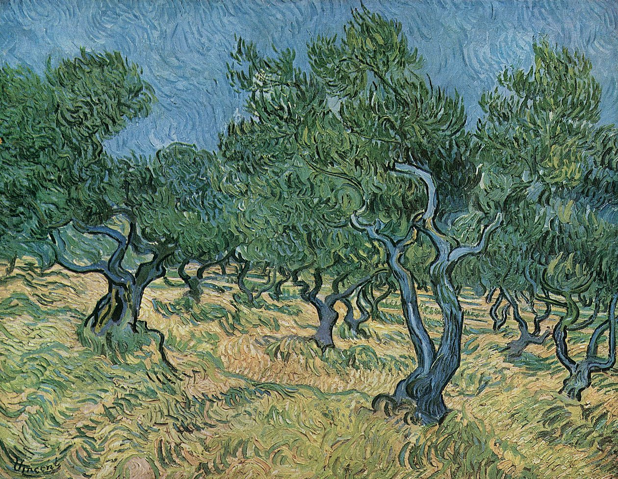 Olival de Vincent van Gogh