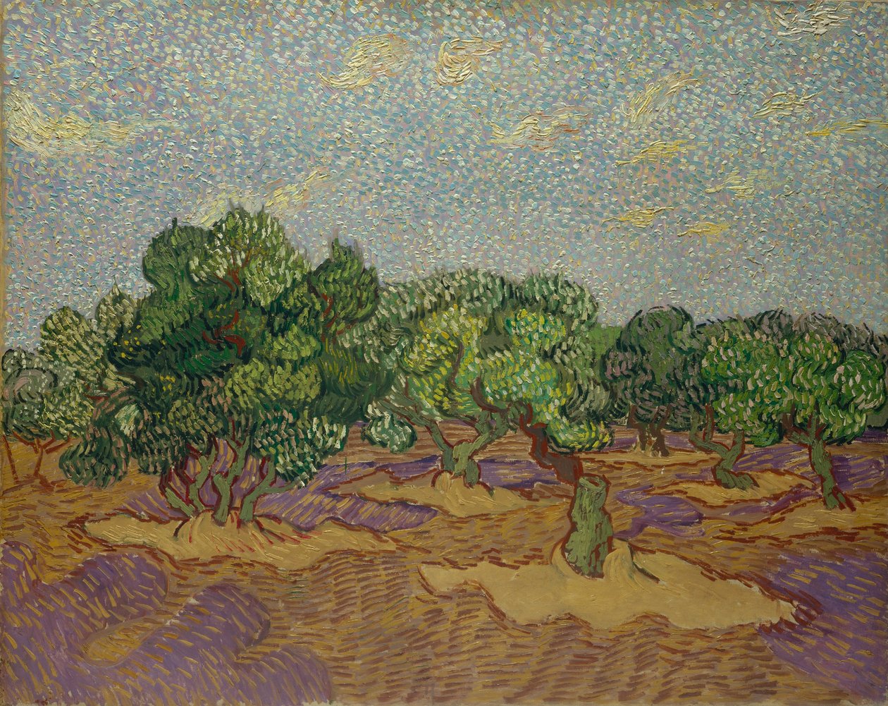 Oliveiras, 1889. de Vincent van Gogh