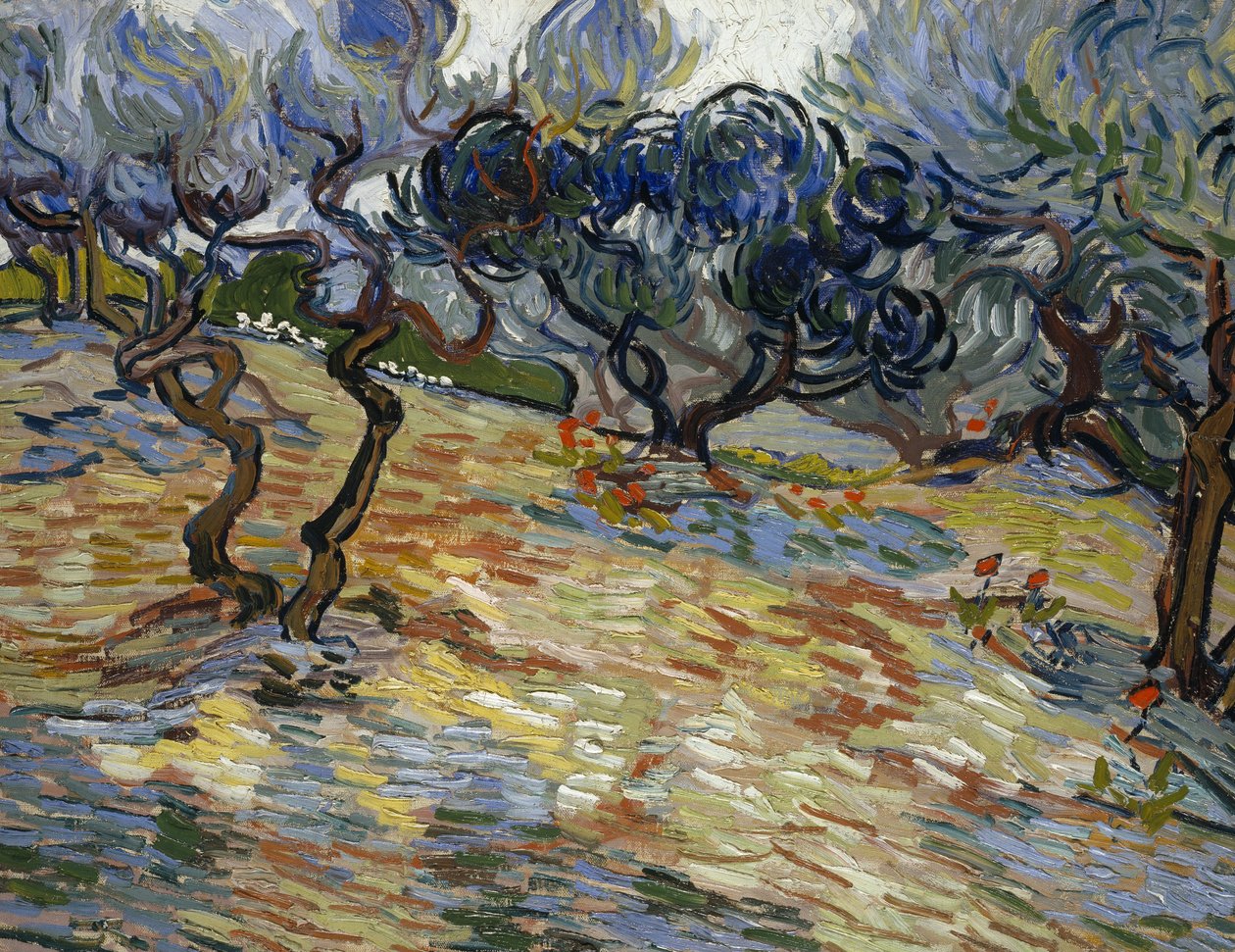 Oliveiras: Céu azul brilhante de Vincent van Gogh
