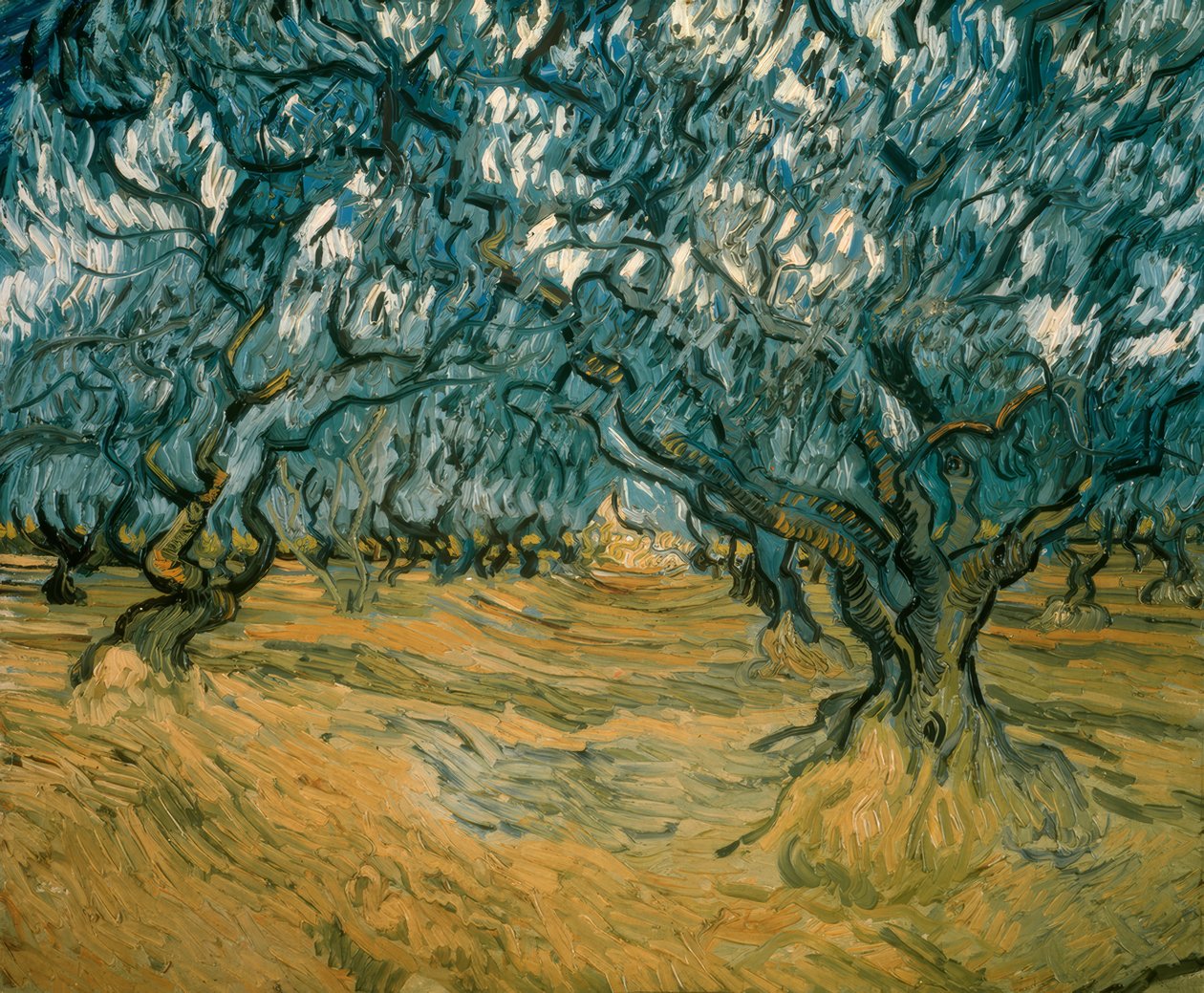 oliveiras de Vincent van Gogh