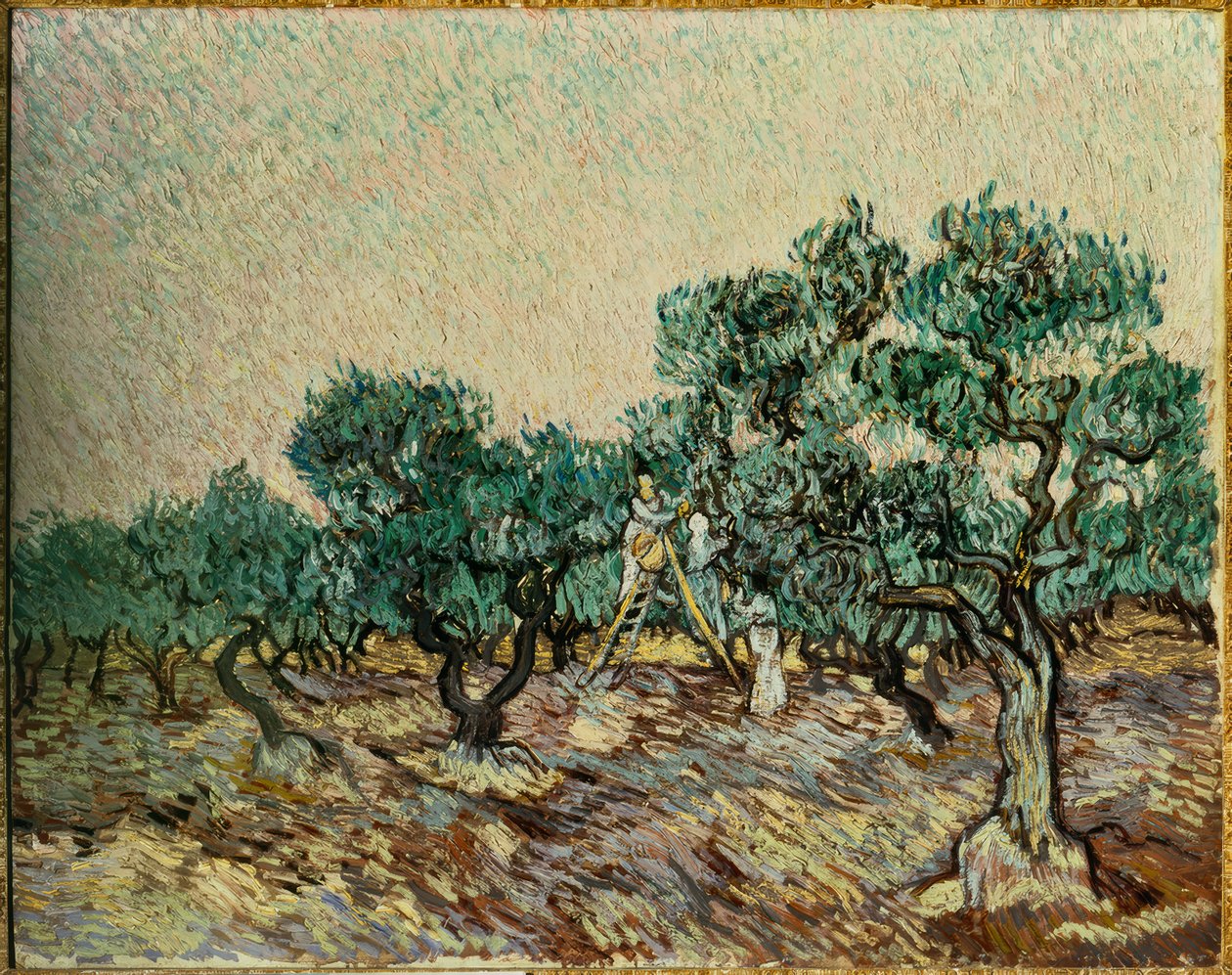 apanhadores de azeitona de Vincent van Gogh
