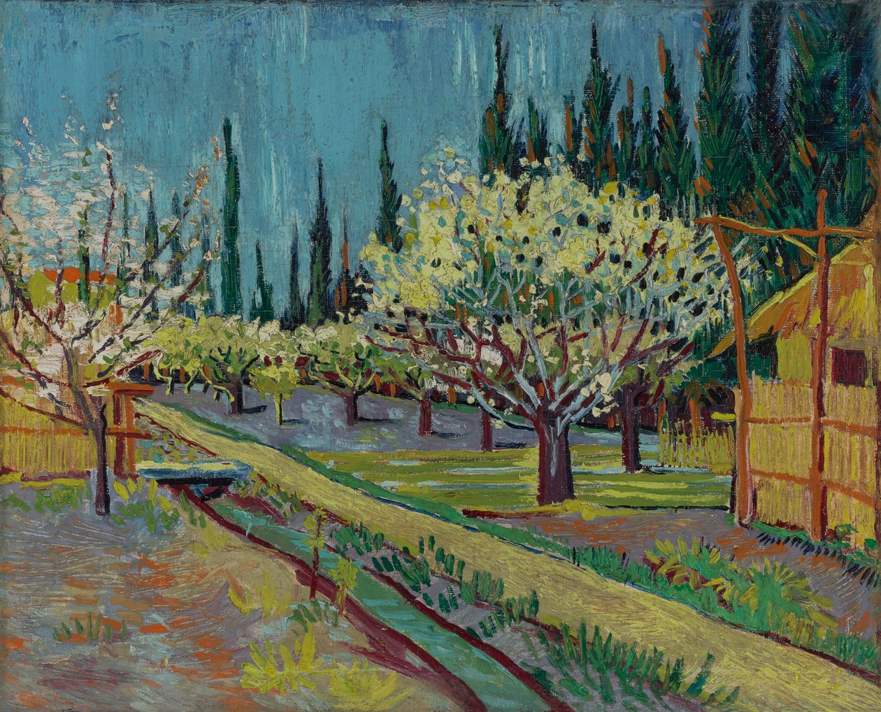 Pomar cercado por ciprestes de Vincent van Gogh
