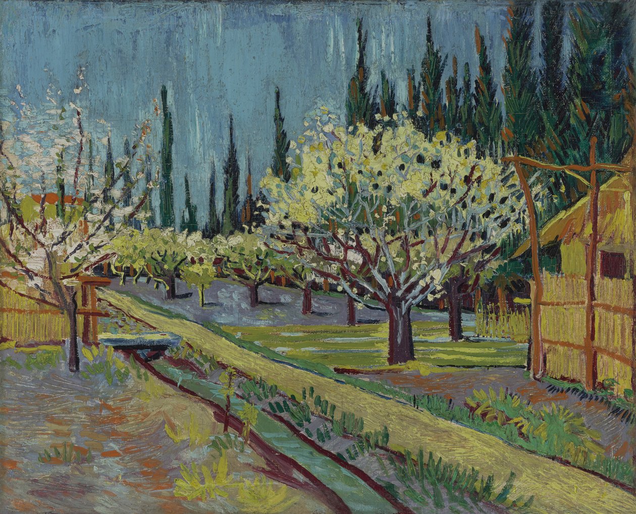 Pomar delimitado por ciprestes de Vincent van Gogh