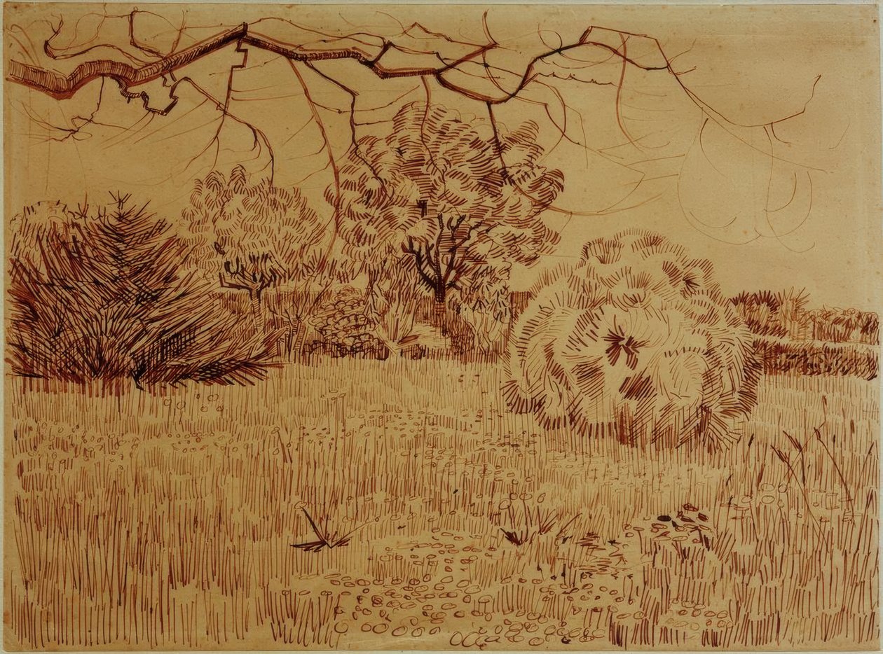 Parque com arbusto de Vincent van Gogh